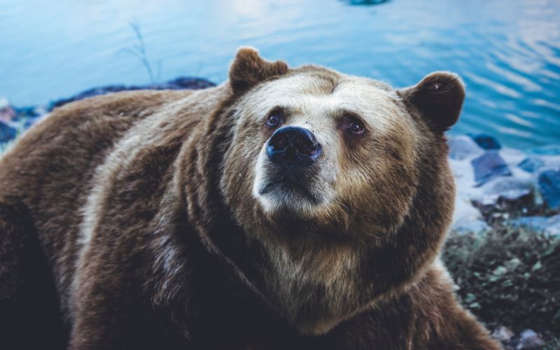 Alaska